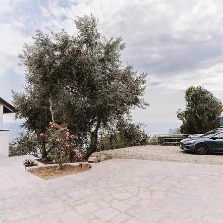 Dequinz Luxury With Infinity Pool & Sea View Villa